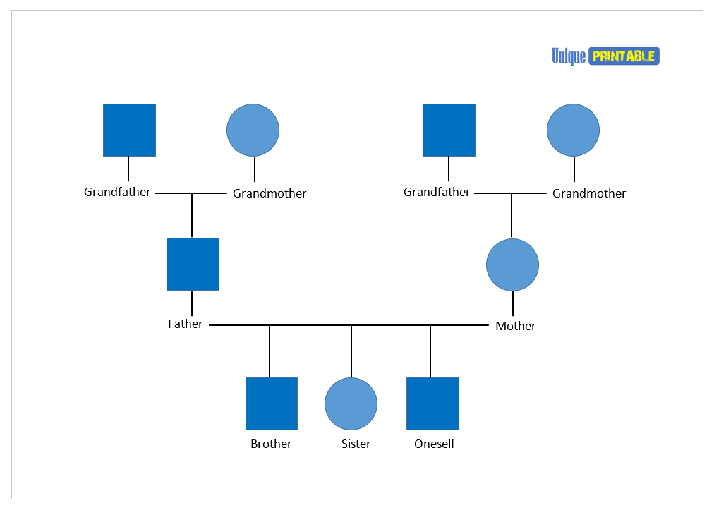 Genogram Template 04